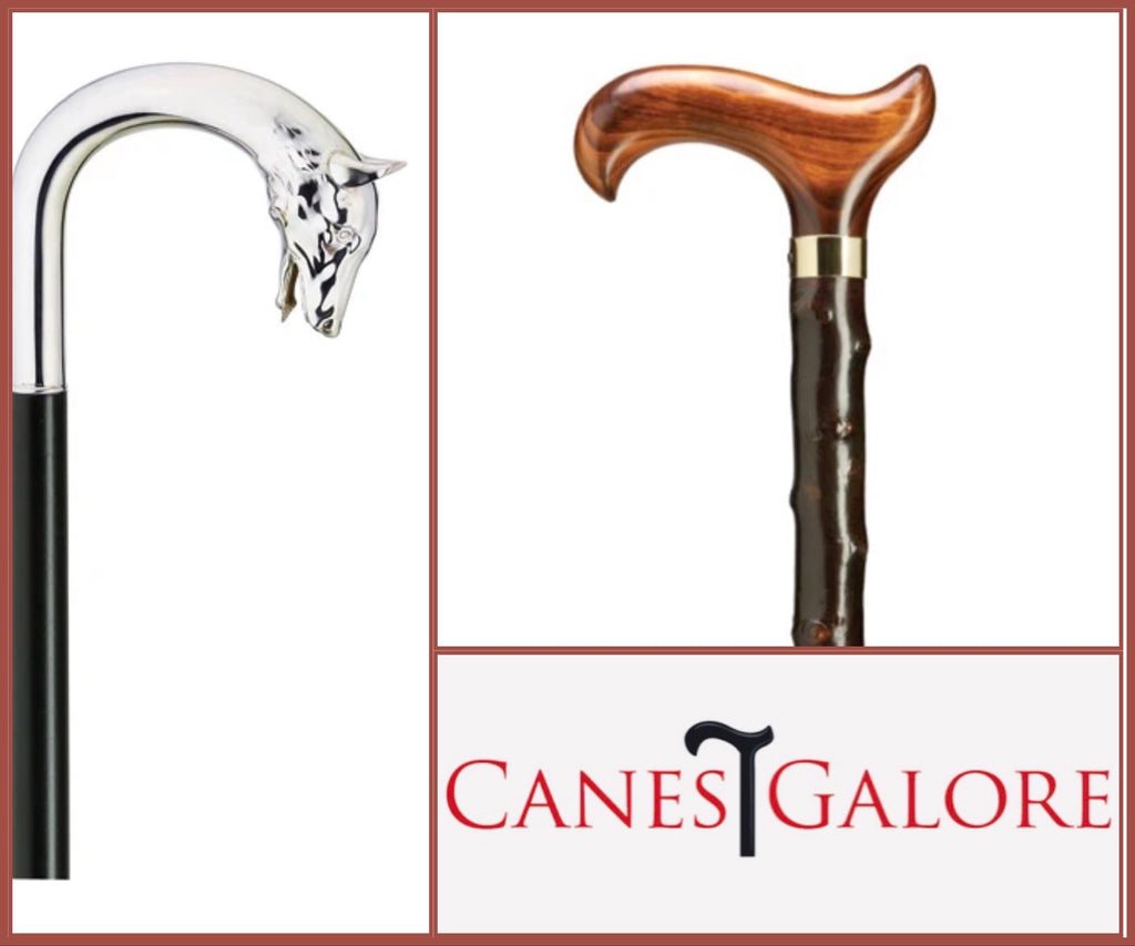 Fashionable Canes: The Ultimate the Dapper Gentleman