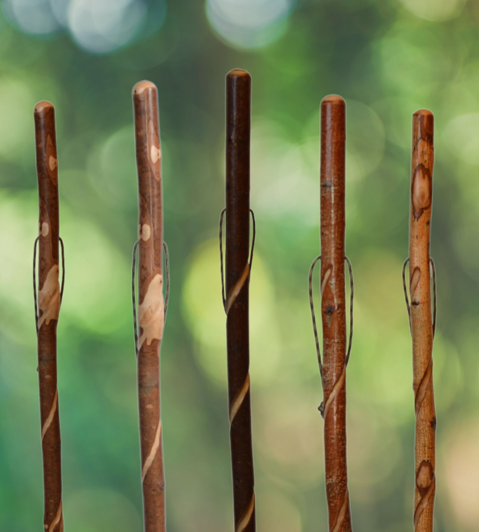 A handcrafted 54-inch Wild Wood Hiking Stick with a twisted vine-style carving, natural wood finish, wrist strap, and rubber tip, made in New York.