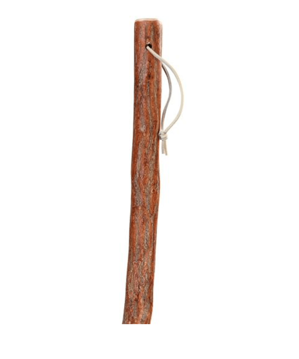 Sassafras Hiking Staff 55" - Canes Galore
