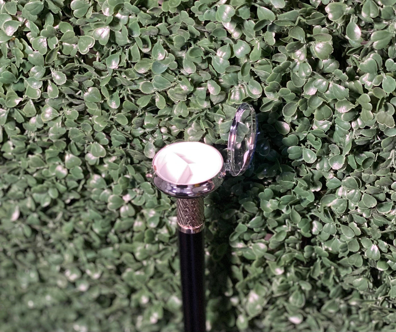 New! MILLEFIORI Pillbox Walking Cane