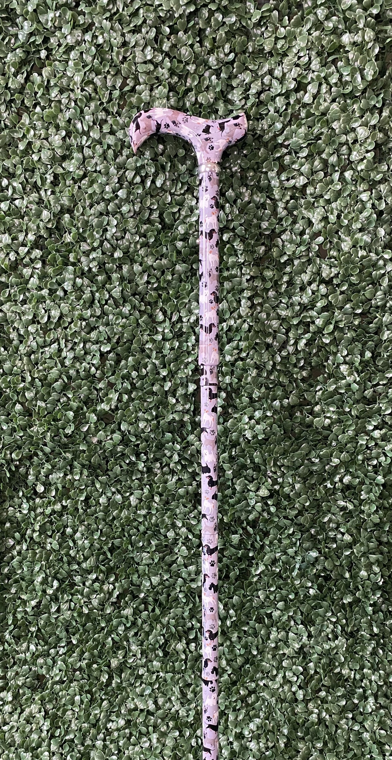 New!! Collapsible Derby Walking Cane, Little Dogs