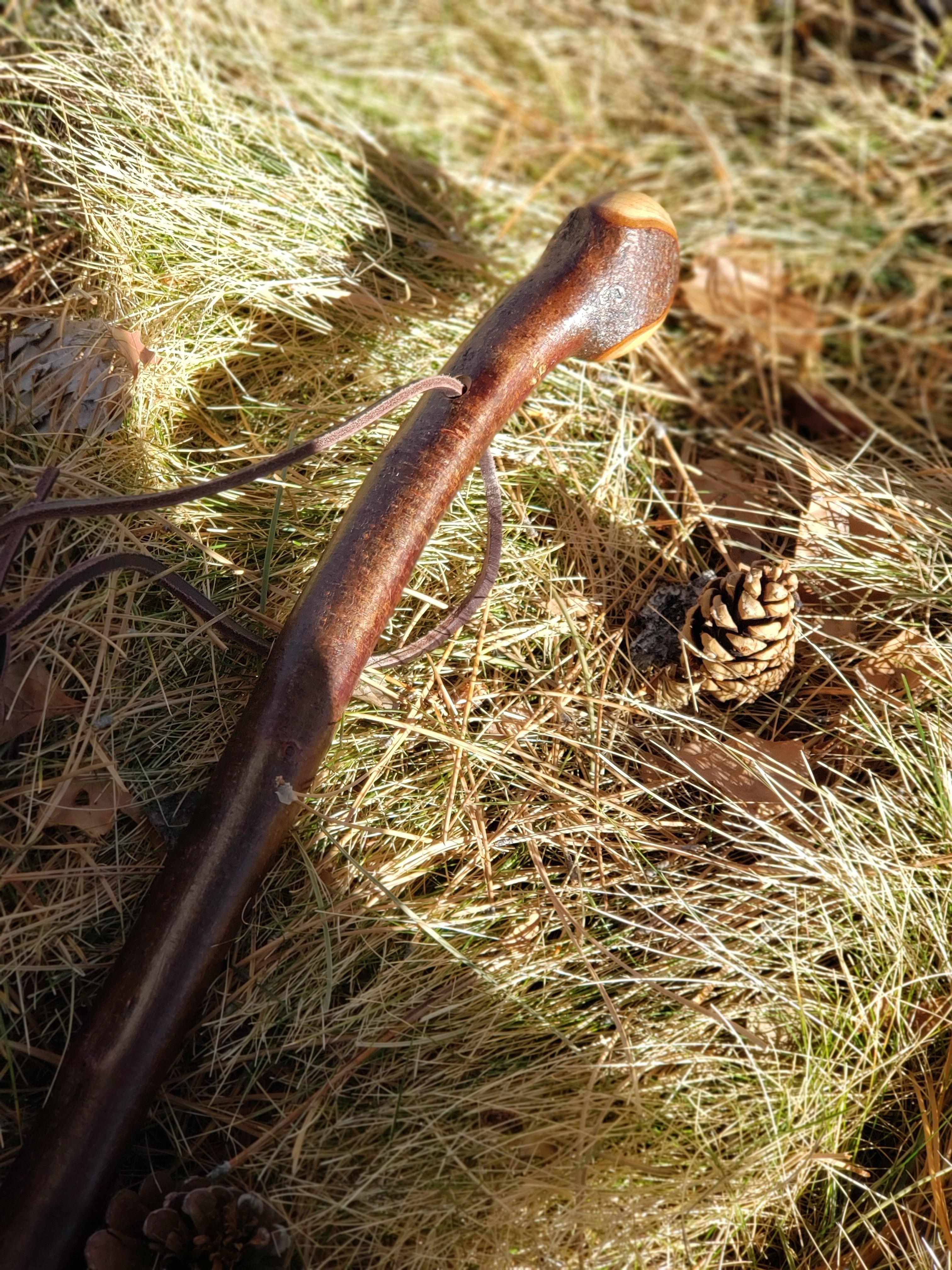 Is Your Sheleighly a Sham? The Truth About Ireland’s Fighting Sticks