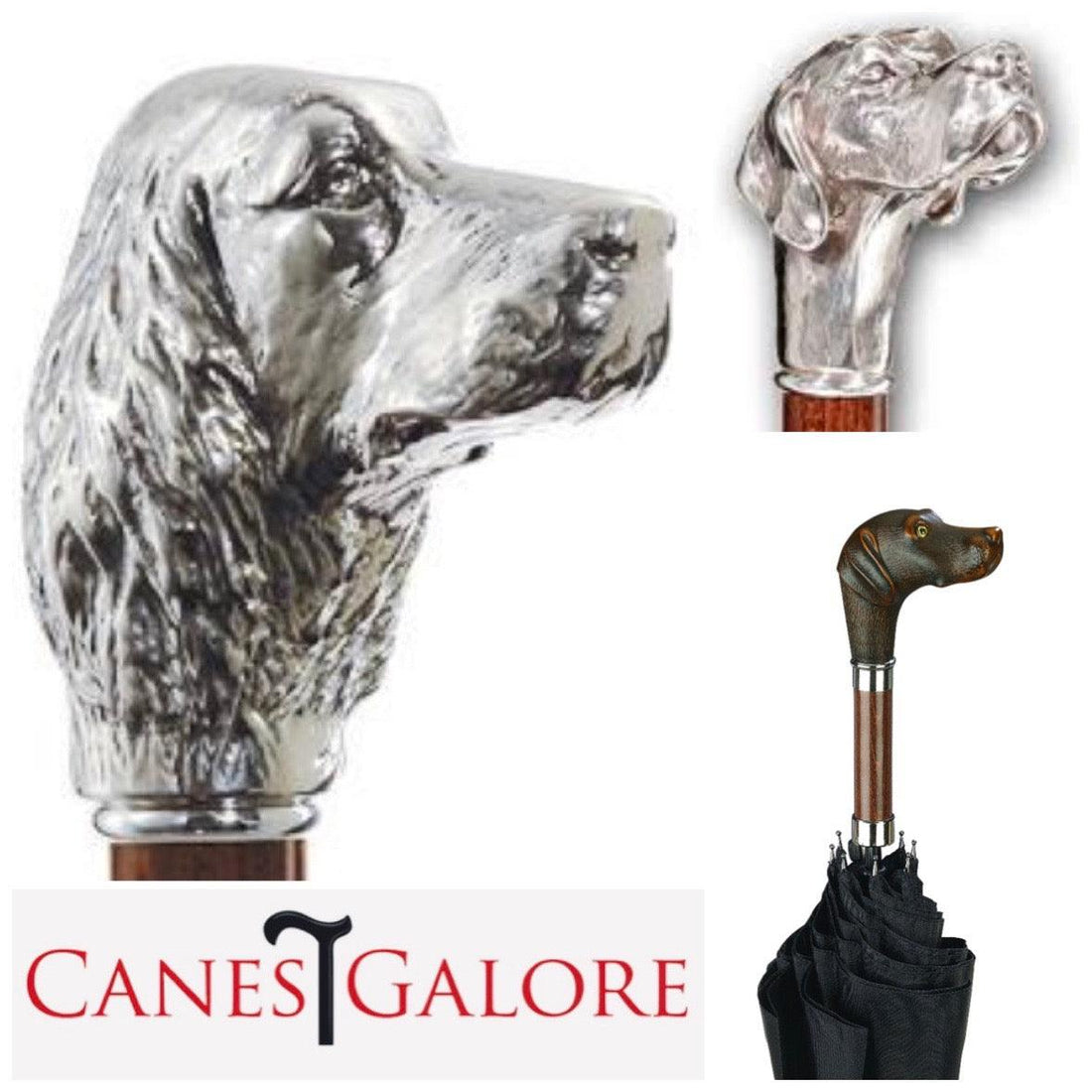 Dog Walking Canes