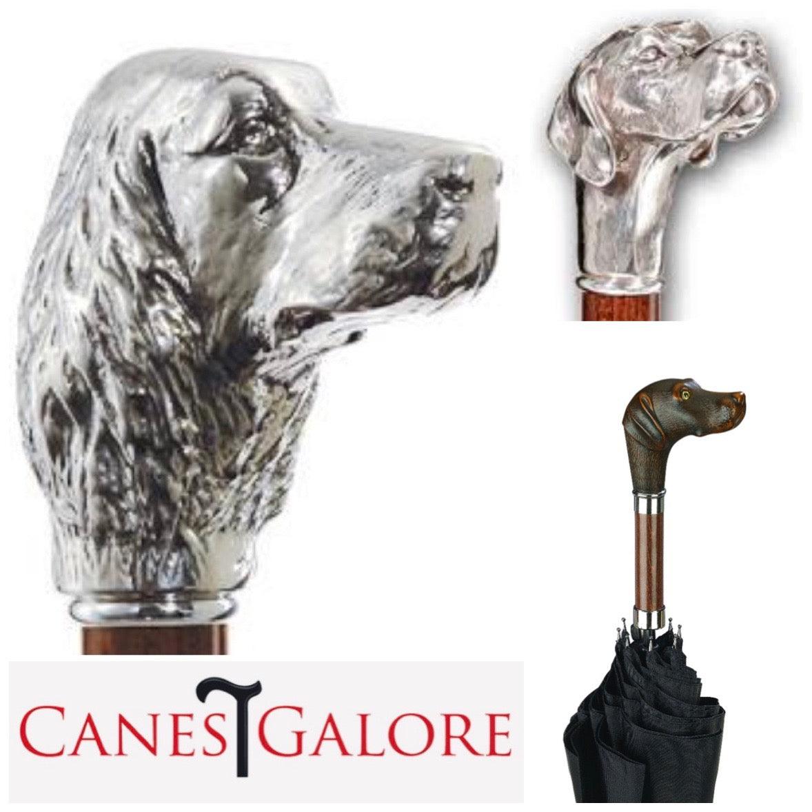 Dog Walking Canes