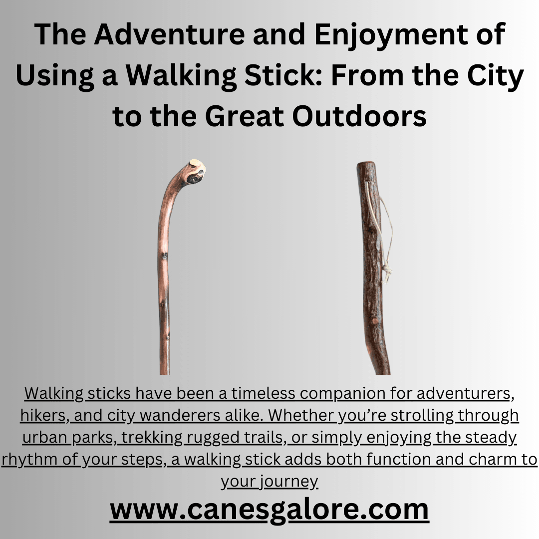 The Adventure and Enjoyment of Using a Walking Stick: From the City to the Great Outdoors - Canes Galore