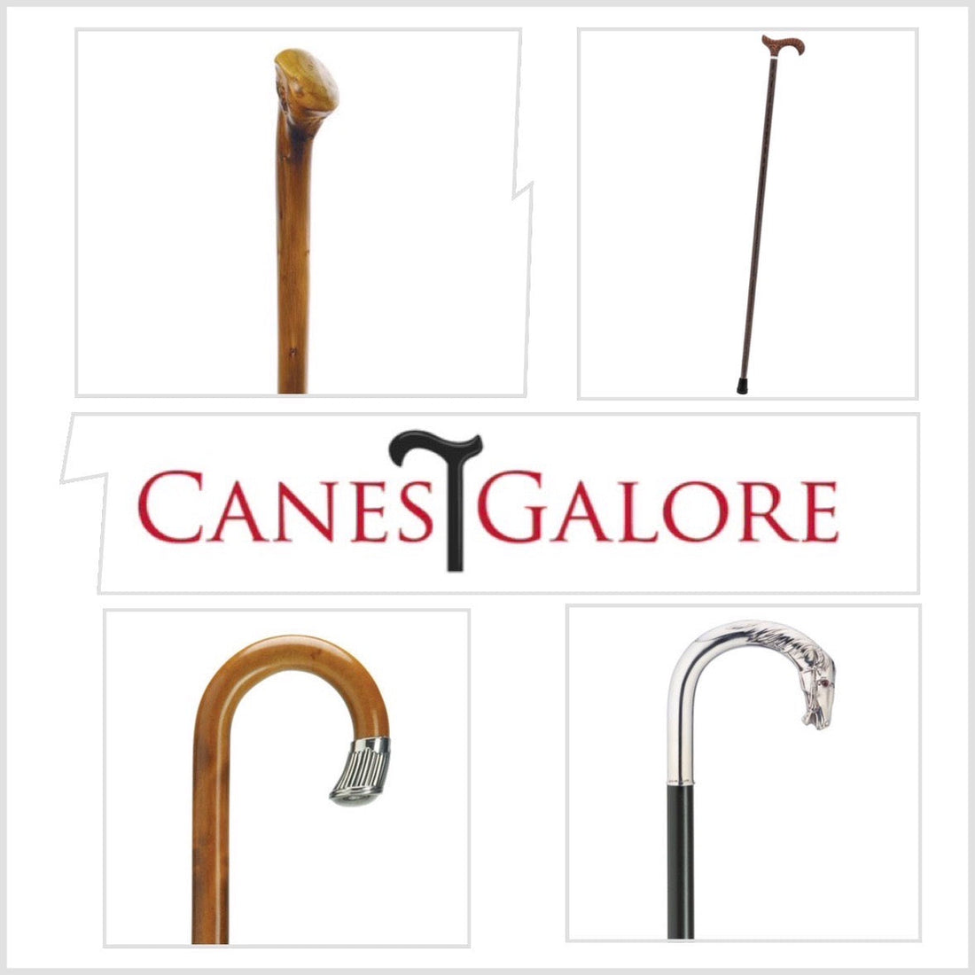 The 10 Most Impressive Walking Canes You Can Own