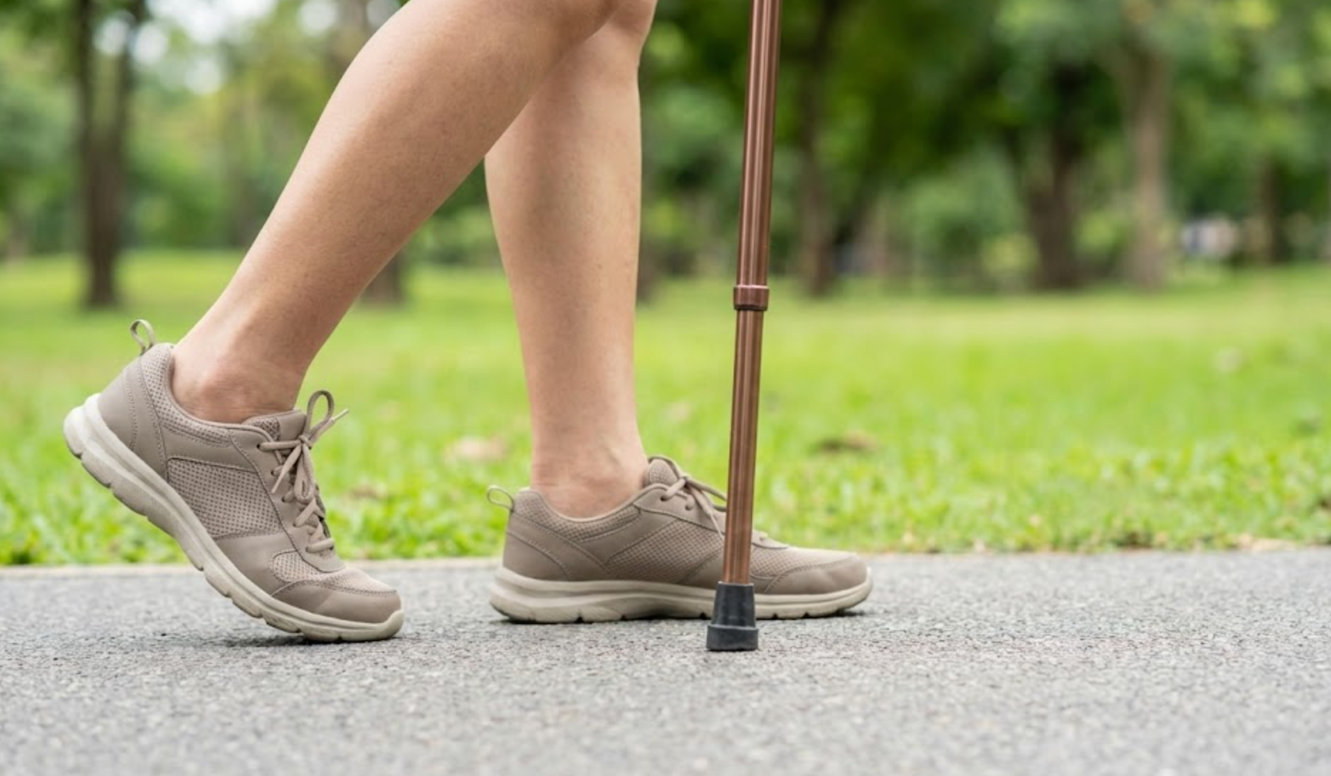 Reclaiming Your Adventures with the Right Walking Companion
