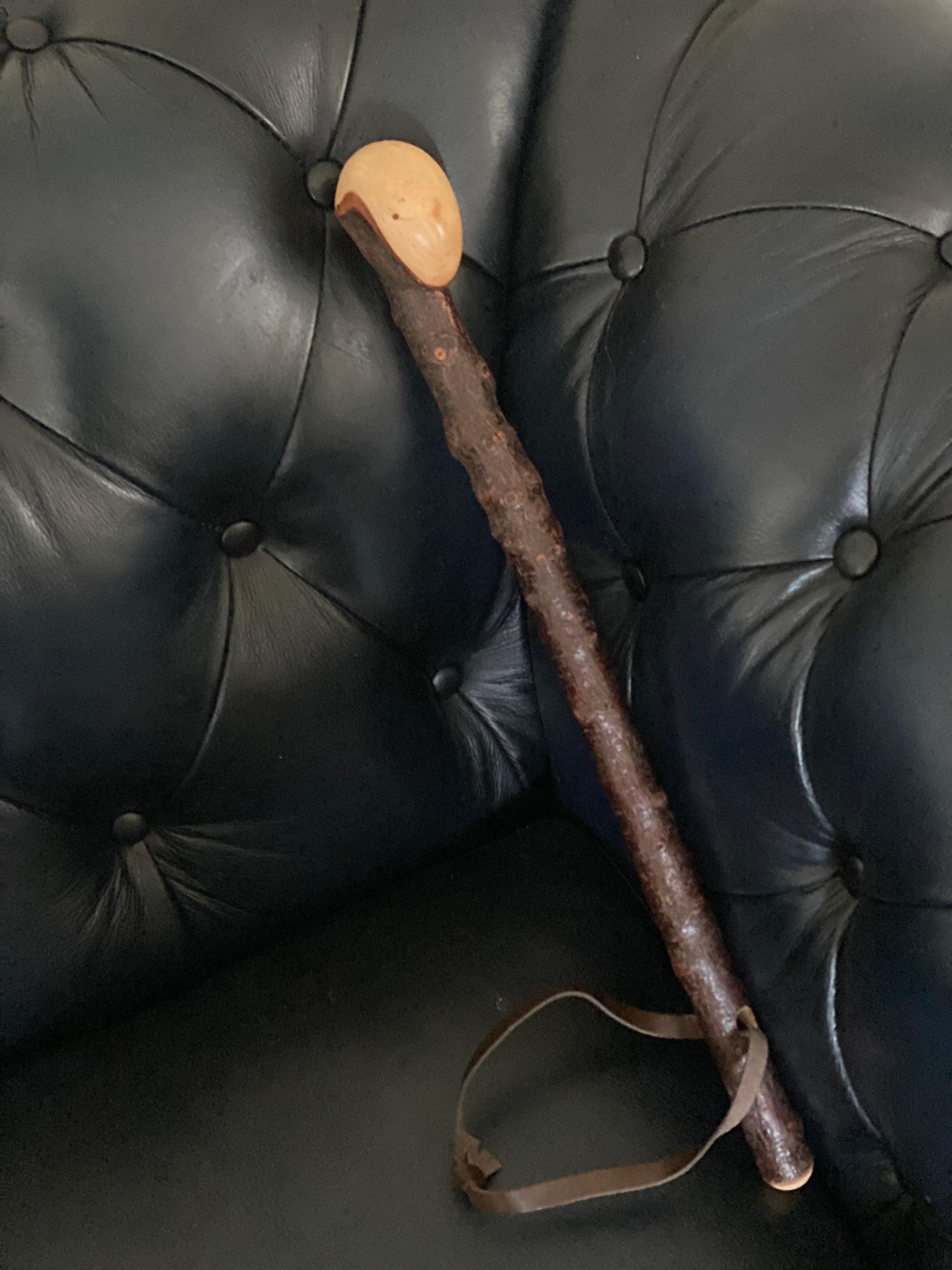 The Ultimate Blackthorn Guide: History, Benefits, and Choosing Your Perfect Shillelagh