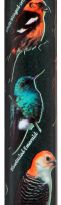 AMERICAN SONGBIRD Derby Folding Adjustable Walking Cane - Canes Galore