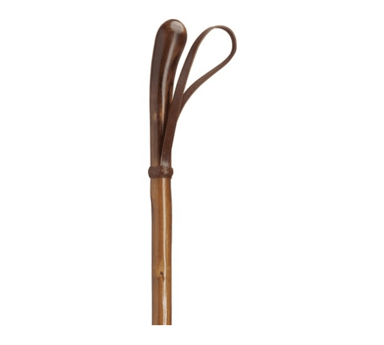 Knotted English Chestnut 36" Walking Cane, with Leather Loop - Canes Galore