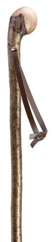 Hazel Root Knob Walking Stick with Real Leather Strap 36