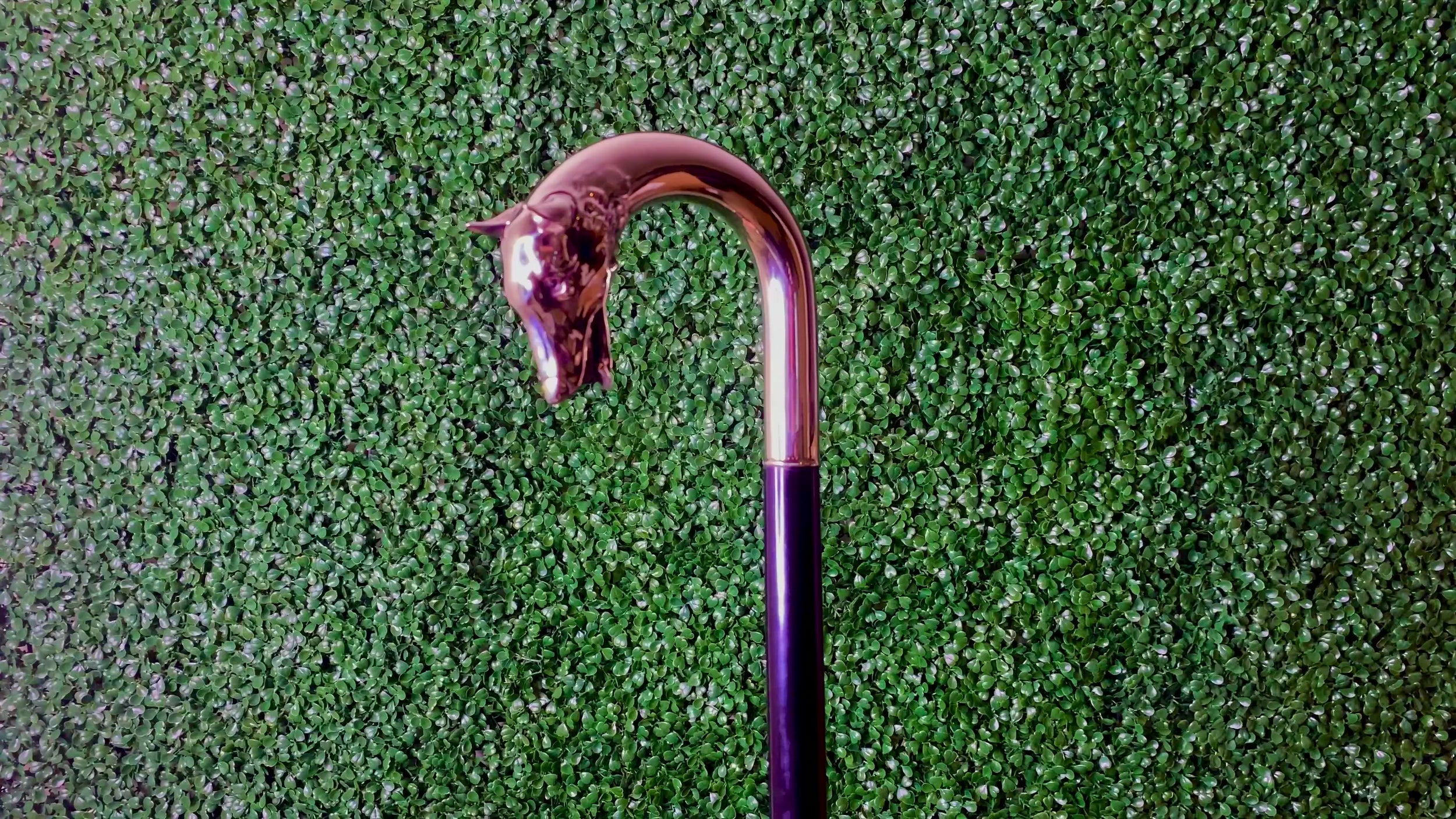 Alpacca Wolf Dog Walking Cane with dark shadows finish and 36-inch black maple shaft from Canes Galore