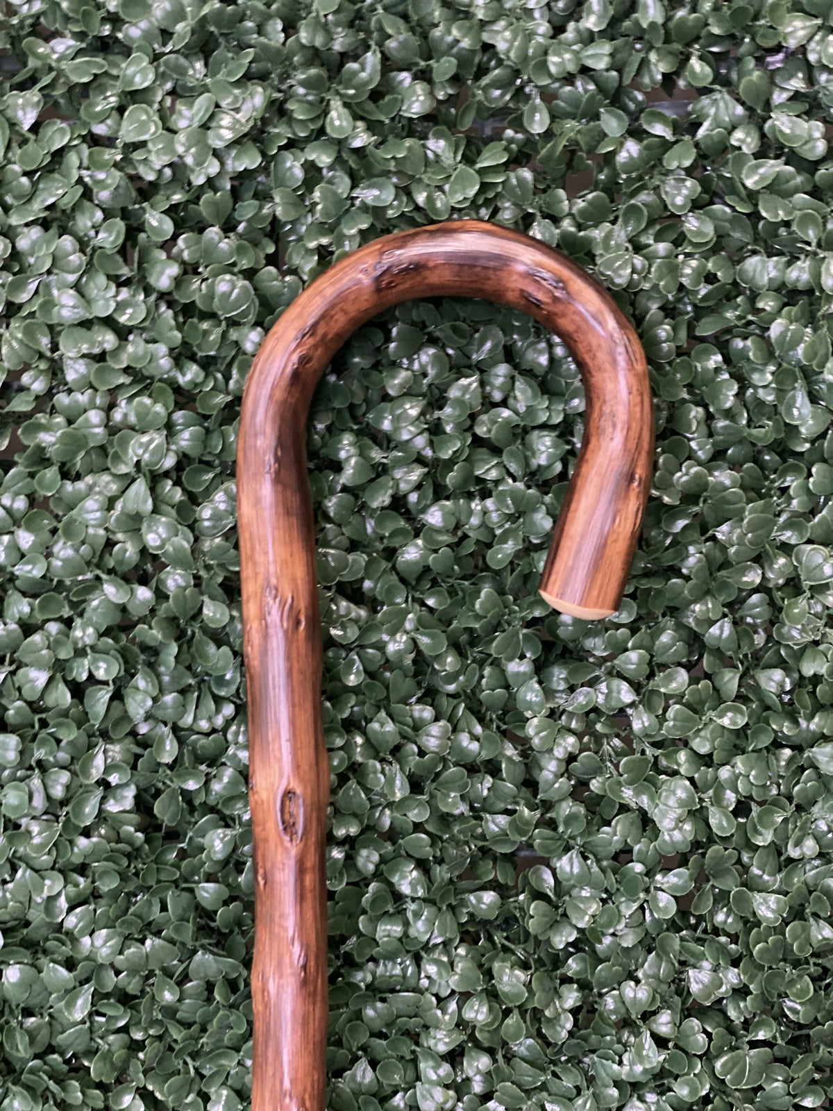 Natural Bark Congo Wood Crook, men's X-Tall 42" - Canes Galore