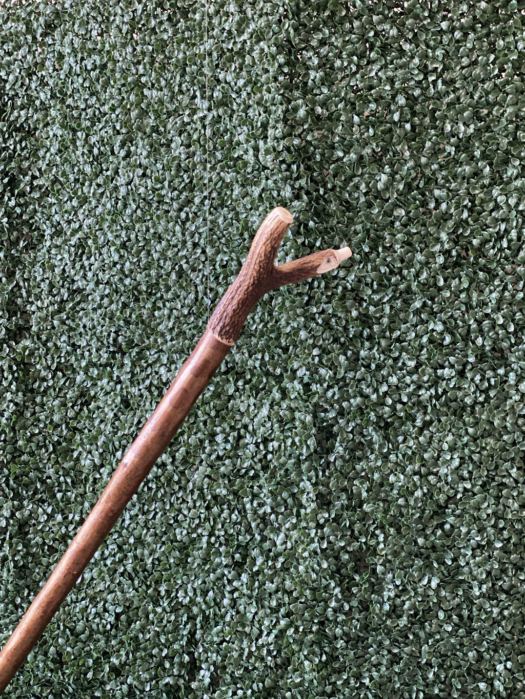 Genuine Staghorn Walking Stick with Built in Whistle - Canes Galore