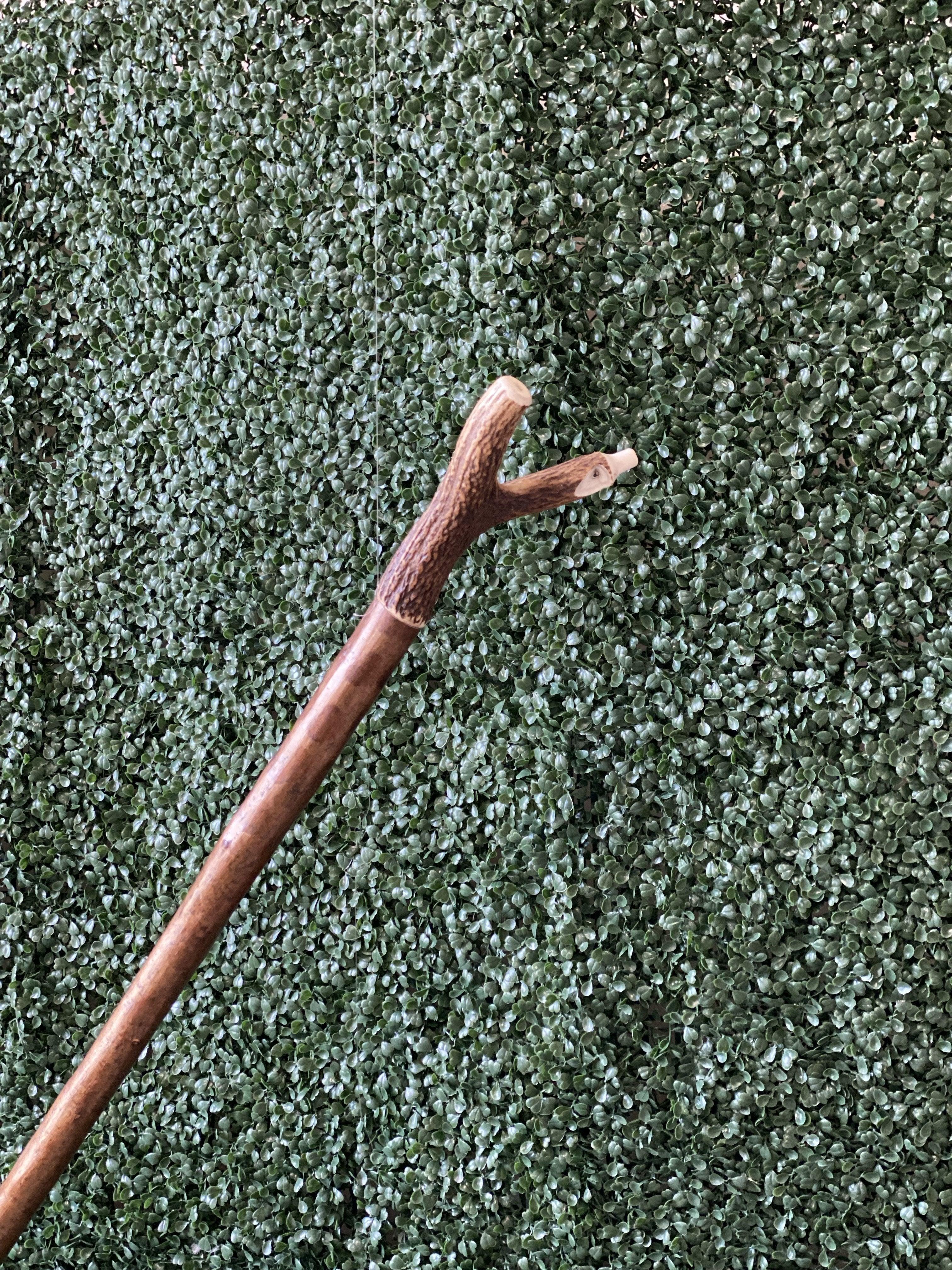 Genuine Staghorn Walking Stick with Built in Whistle - Canes Galore