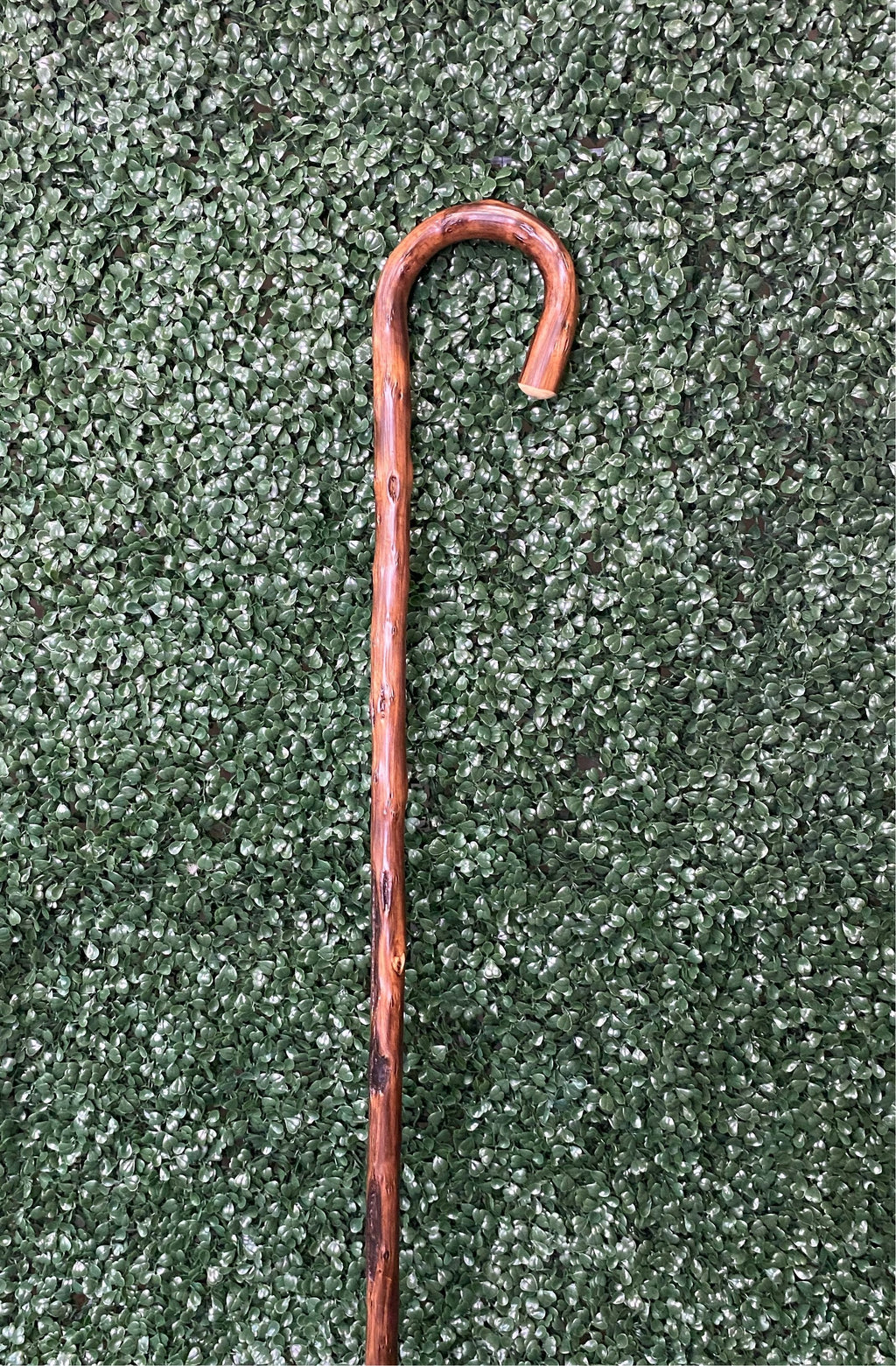 Natural Bark Congo Wood Crook, men's X-Tall 42" - Canes Galore