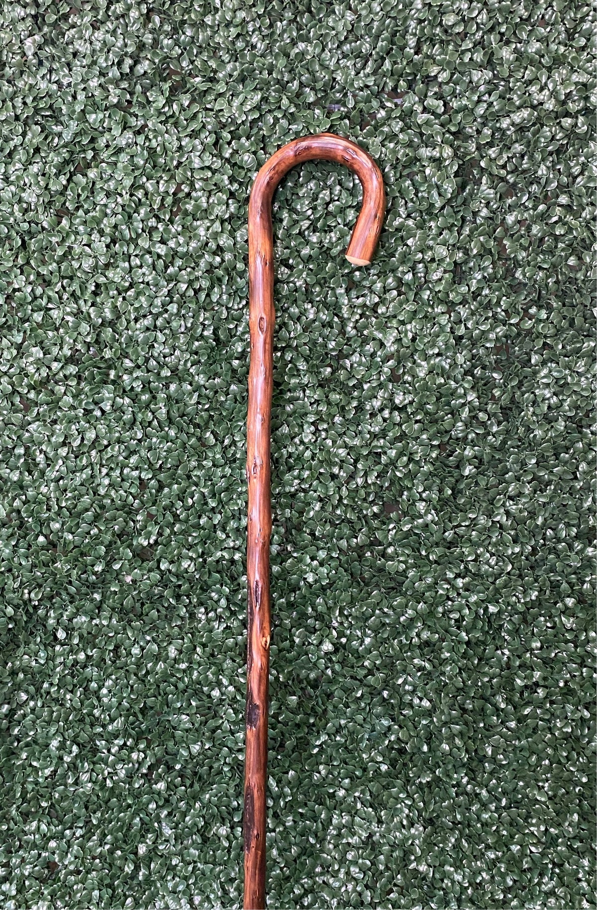 Natural Bark Congo Wood Crook, men's X-Tall 42" - Canes Galore